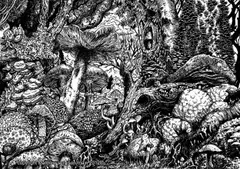 Matthew Sergison-Main, Fungal Fruits, ink on paper