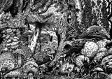 Matthew Sergison-Main, Fungal Fruits, ink on paper