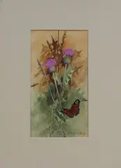 Vernon Ward, Study of a Butterfly and Thistles, watercolour and gouache