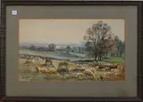 Henry J. Kinnaird, Landscape with Sheep, watercolour