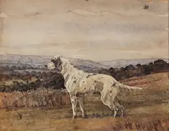 Geoffrey Sparrow, Study of a Setter in a Landscape, watercolour over pencil