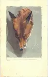 Geoffrey Sparrow, Study of a Fox's Head