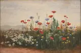 Andrew Nicholl, Poppies and other Wild Flowers in an Irish Landscape