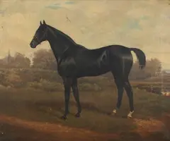 George Veal, Study of a Black Horse standing in a Landscape, 1885, oil on canvas
