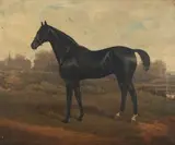George Veal, Study of a Black Horse standing in a Landscape, 1885, oil on canvas