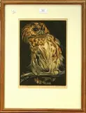 Norbertine Bresslern-Roth, Study of an Owl perched on a Branch