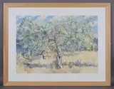 James Foot, Tree Study, watercolour