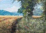Andrew Dandridge, Poppies by the Footpath