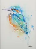 Amanda Gordon, Kingfisher IV, 21st century watercolour