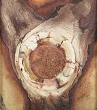 Aileen Lipkin, African Core, mixed media with oil and sand on board