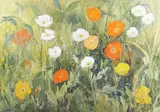G. Owen, Wild Poppies, oil on canvas laid onto board