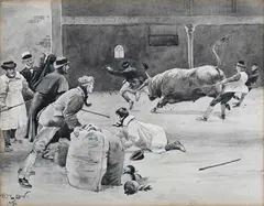 Cecil Aldin, Figures restraining a Bull, monochrome ink with watercolour