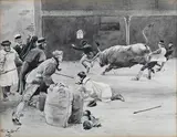 Cecil Aldin, Figures restraining a Bull