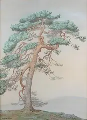 Daphne Allen, A Pine Tree of Glen Falloch, pastel with coloured chalks