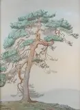 Daphne Allen, A Pine Tree of Glen Falloch, pastel with coloured chalks
