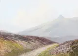Daniel Sherrin, Dartmoor Landscapes