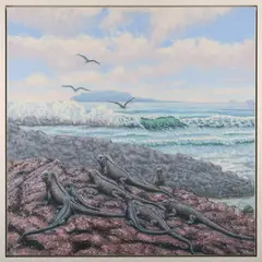 George Tincu, Iguana, Galapagos, 21st century oil on canvas