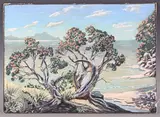 A.E. Marsack, Whangarei Heads from Waipu Cove (New Zealand), 1983, watercolour with ink and gouache