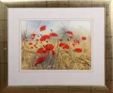 Andrew Dandridge, Many Poppies