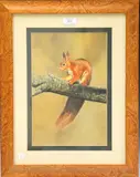 Michael P. Jevon, Red Squirrel on a Branch, early 21st century mixed media on board
