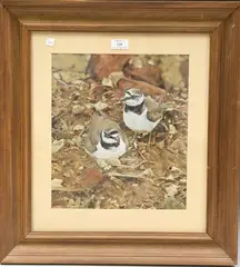 Michael P. Jevon, Two Ringed Plover, 2000, mixed media