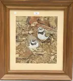 Michael P. Jevon, Two Ringed Plover, 2000, mixed media