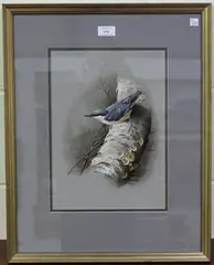 Study of a Tree Creeper by Terance James Bond, watercolour with gouache, sold Nov 2021
