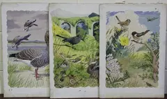 William Neave Parker, The Jackdaws of Corfe, eleven watercolour and gouache illustrations
