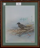 George Edward Lodge, Bird at the Water's Edge