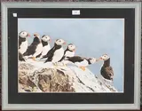 Michael P. Jevon, Puffins on a Rock, 2000, mixed media