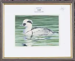 Peter Bainbridge, Smew Duck, late 20th/early 21st century acrylic on board