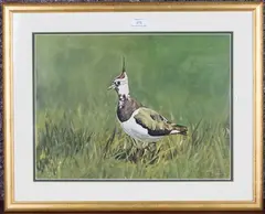 Michael P. Jevon, Lapwing, 2000, mixed media