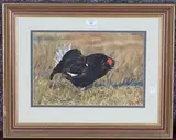 Michael P. Jevon, Black Grouse, 2000, oil on board