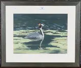 Michael P. Jevon, Great Crested Grebe, oil on board