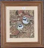 Michael P. Jevon, Two Ringed Plover, 2000, mixed media