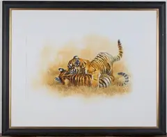 Matthew Hillier, Two Tigers at Play, watercolour
