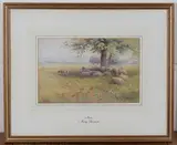 Mary Stormont, Noon' (Sheep resting in the shadow of a Tree), watercolour