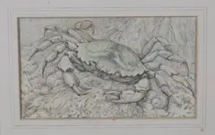 Shore Crab by Lilian Andrews, 1961, pencil and pastel on vellum paper laid on board, sold Oct 2020