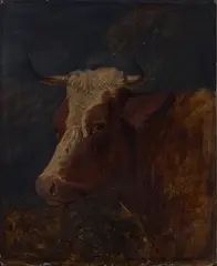 Herbert C. Devignes, Sketch of a Cow's Head, 1852, oil on panel