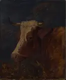 Herbert C. Devignes, Sketch of a Cow's Head, 1852, oil on panel