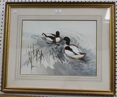 Berrisford Hill, Two Ducks on Water, watercolour with gouache