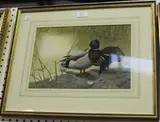 Matthew Hillier, Two Ducks on a Riverbank, watercolour with gouache