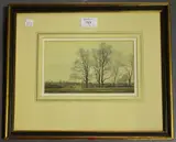 Edward Stamp, Elms at Swanbourne, Buckinghamshire, 1977, watercolour