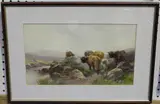 Tom Rowden, Highland Cattle in a Landscape, watercolour