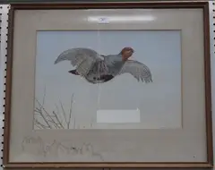 Frank Paton, Partridge in Flight, 1896, watercolour