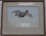 Frank Paton, Partridge in Flight, 1896, watercolour
