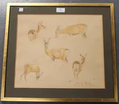 Diana E. Brown, Roe Doe' (Studies of Roe Deer), 1965, watercolour over pencil