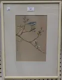 Roland Green, Blue Tit on a Branch, watercolour with gouache