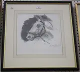 Charles Walter Simpson, Generale Malaga, the only Horse at Olympia which performed the Capriole, pencil
