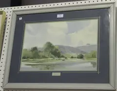 Ernest Savage, Downs near Petworth, 1978, watercolour